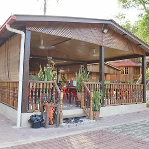 Borneo Tree House Hotel